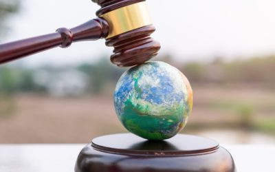 Environmental Laws and Sustainable Practices in Nigeria: Legal responsibilities for businesses 